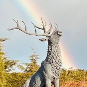 Riverside 19 cropped WhatsApp Image 2025 12 18 at 15.37.07 3